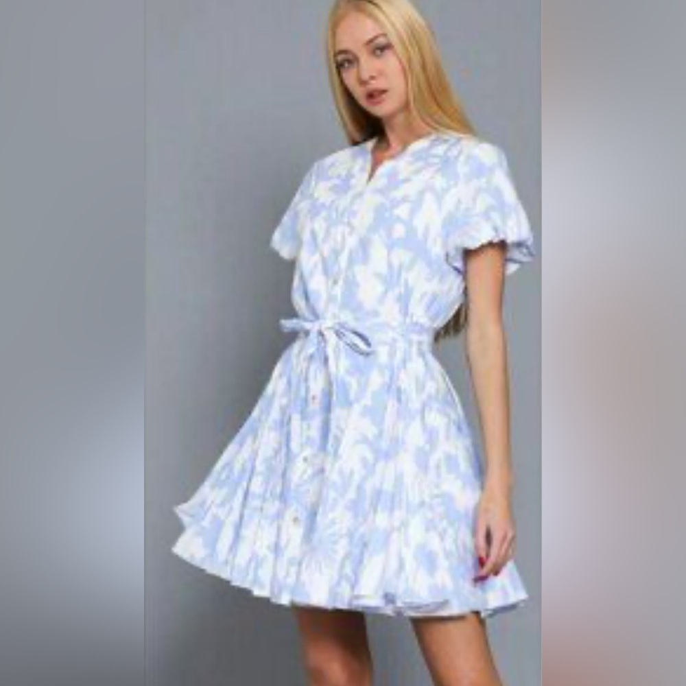 Floral Blue and White Mini Dress